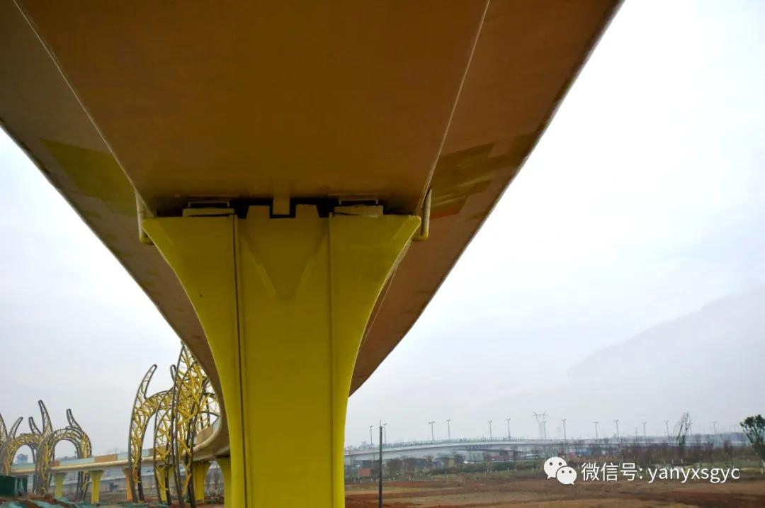 成安渝银杏大桥,成都银杏桥