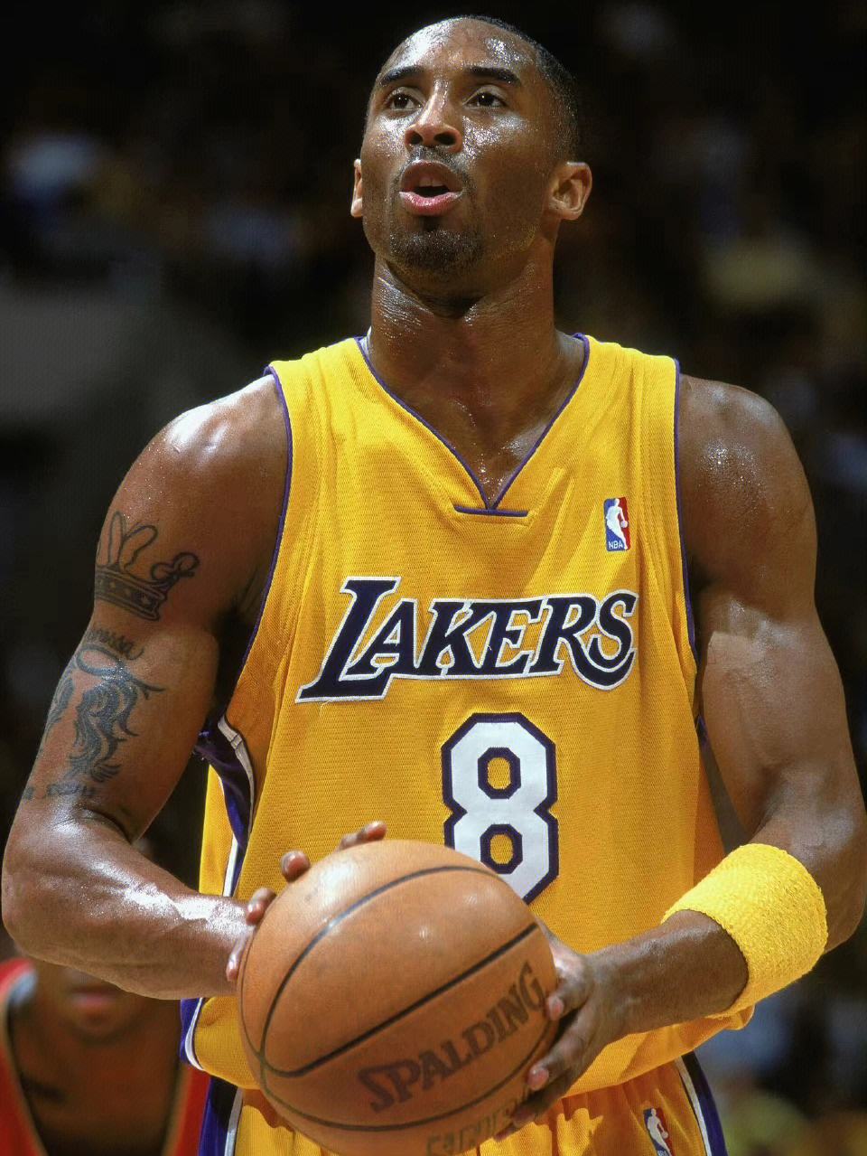 王威廉教授,王威廉和neinei