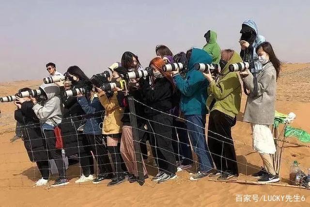 明星站姐有多好看,明星有名的站姐