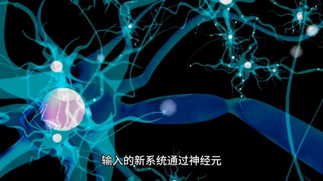 你知道吗，我们仅仅使用了大脑的10%吗？