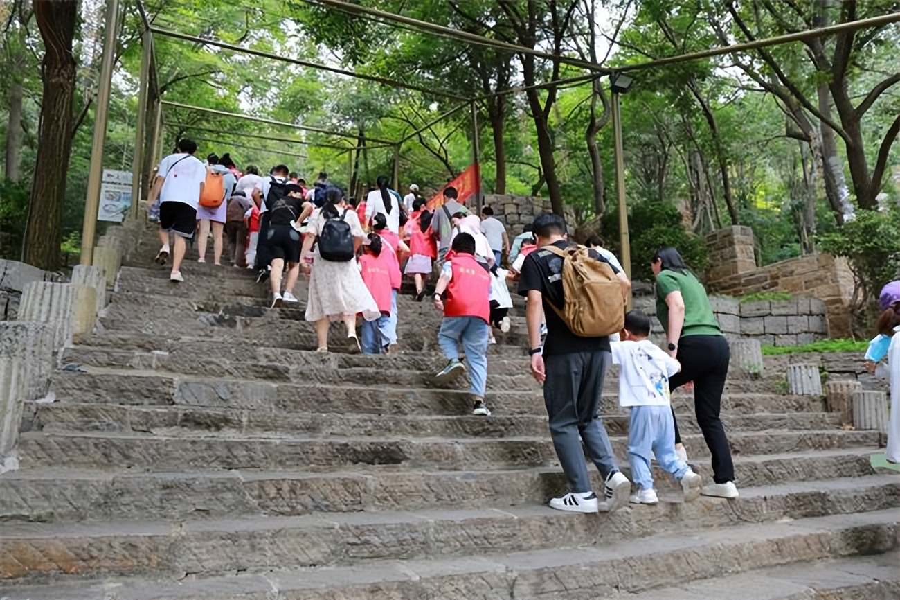 莒县新希望小记者活动,日照莒县新希望小记者