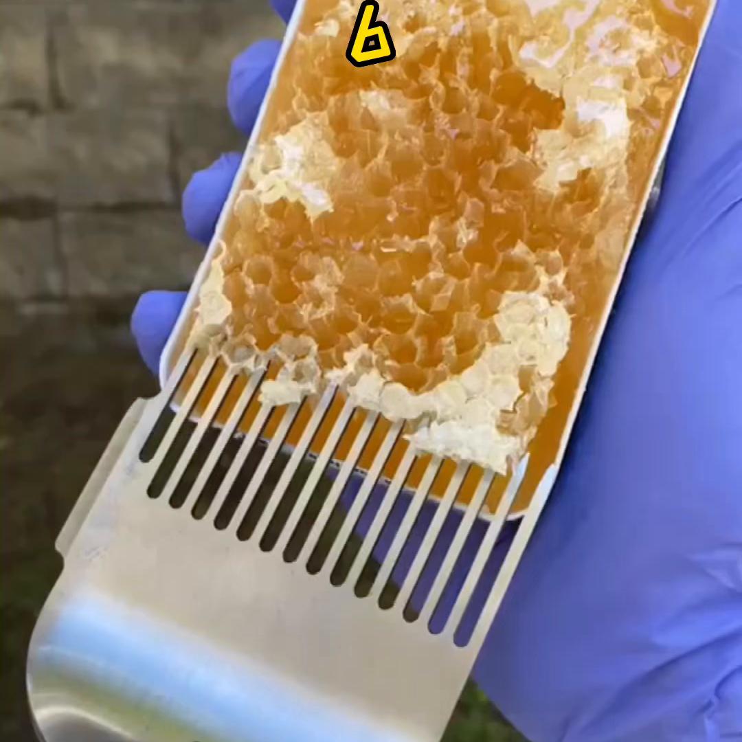 霸道总裁和小娇妻,霸道总裁爱上我