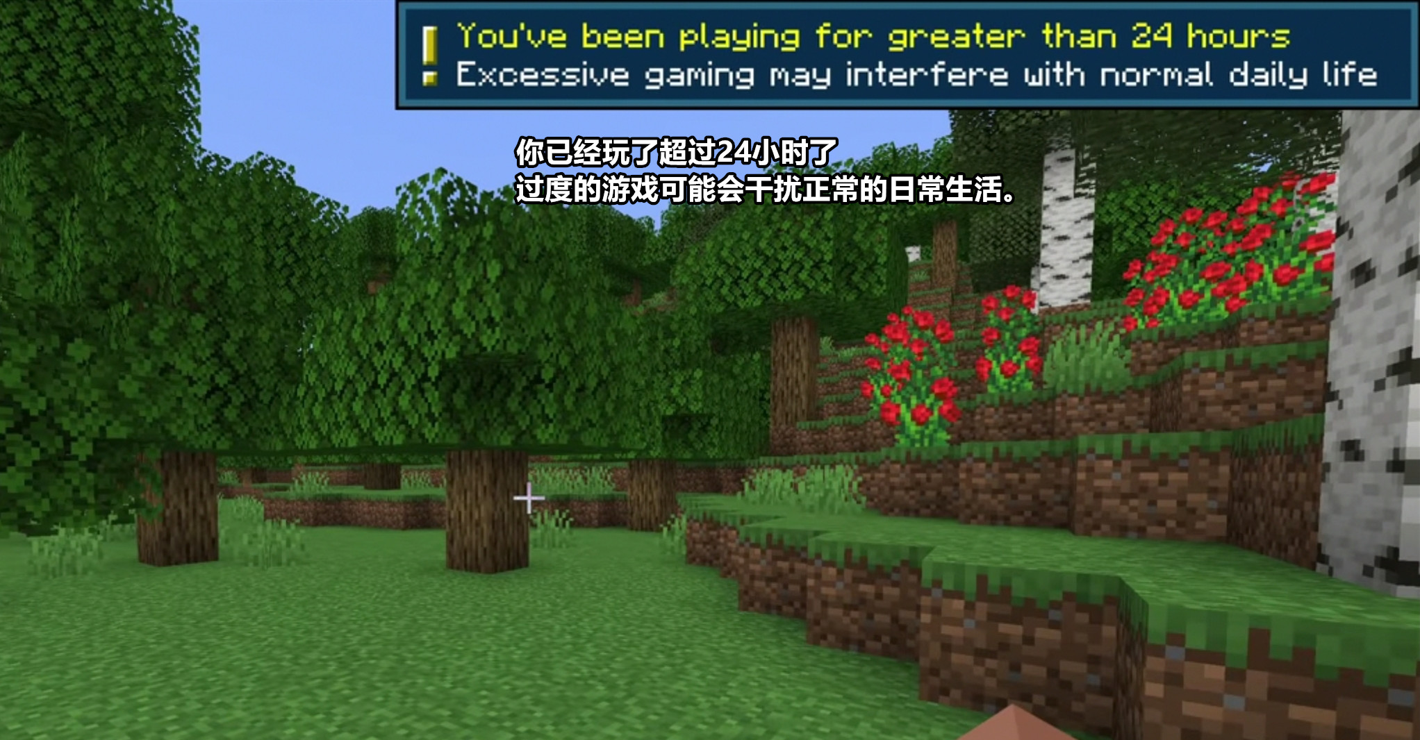 minecraft需要防沉迷吗,minecraft国际版加不了好友怎么办