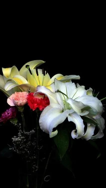 花朵黑白手绘图,黑白图片花朵