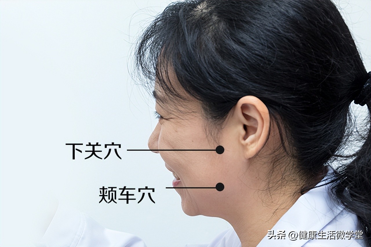 小穴位大健康(15)颊车穴——固齿护槽,让牙齿更牢固