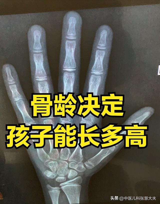 孩子是早成熟好还是晚成熟好,儿童是早长好还是晚长好
