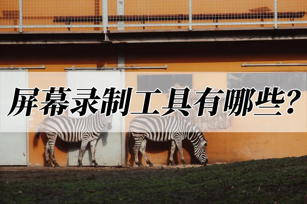 有什么靠谱的屏幕录制软件,分享几个简单的屏幕录制方法