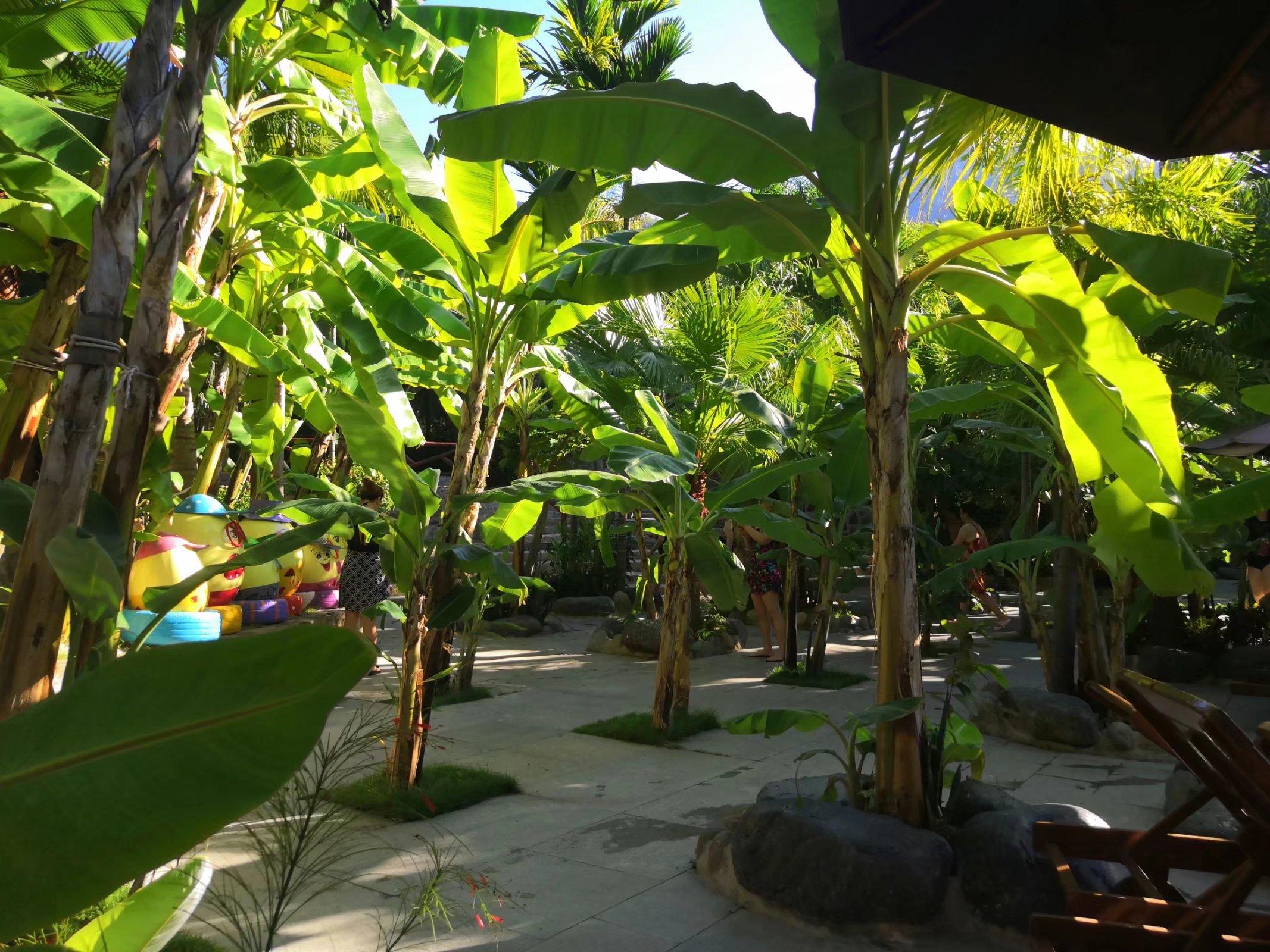 芽庄泥浆浴的功效和作用,越南芽庄泥浆浴入门景区