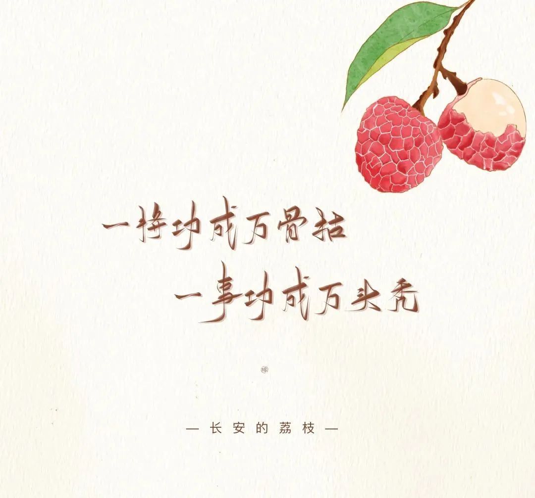 长安的荔枝一个小人物的职场故事,长安的荔枝职场励志