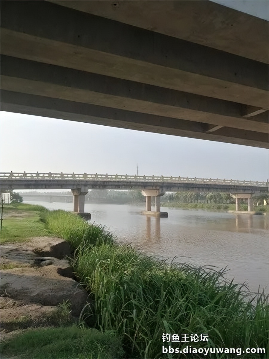 崇明北横引河水深,北横引河能钓鱼吗