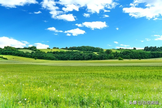 二十四节气的含义和解释,二十四节气顺口溜含义