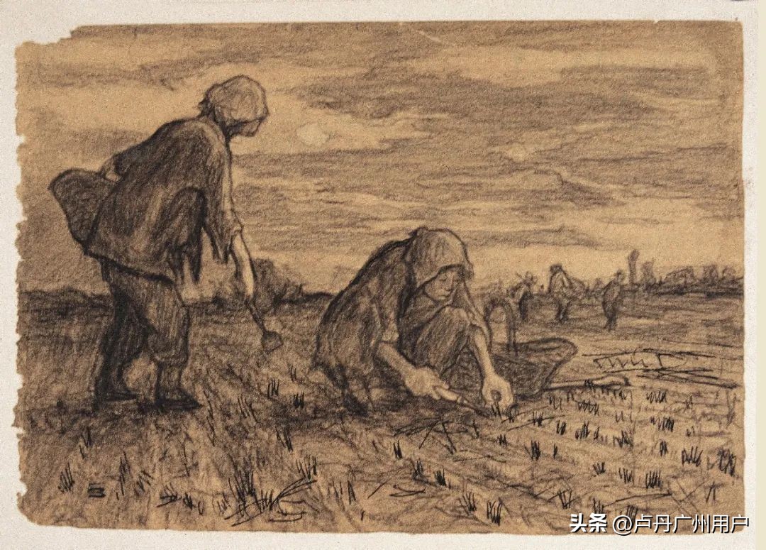 王流秋油画家,王流秋油画作品