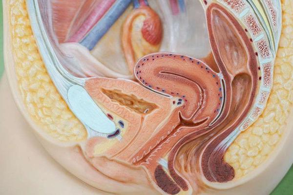 孕期便秘别怕5步教你顺畅排便,平常就便秘孕期便秘更严重了