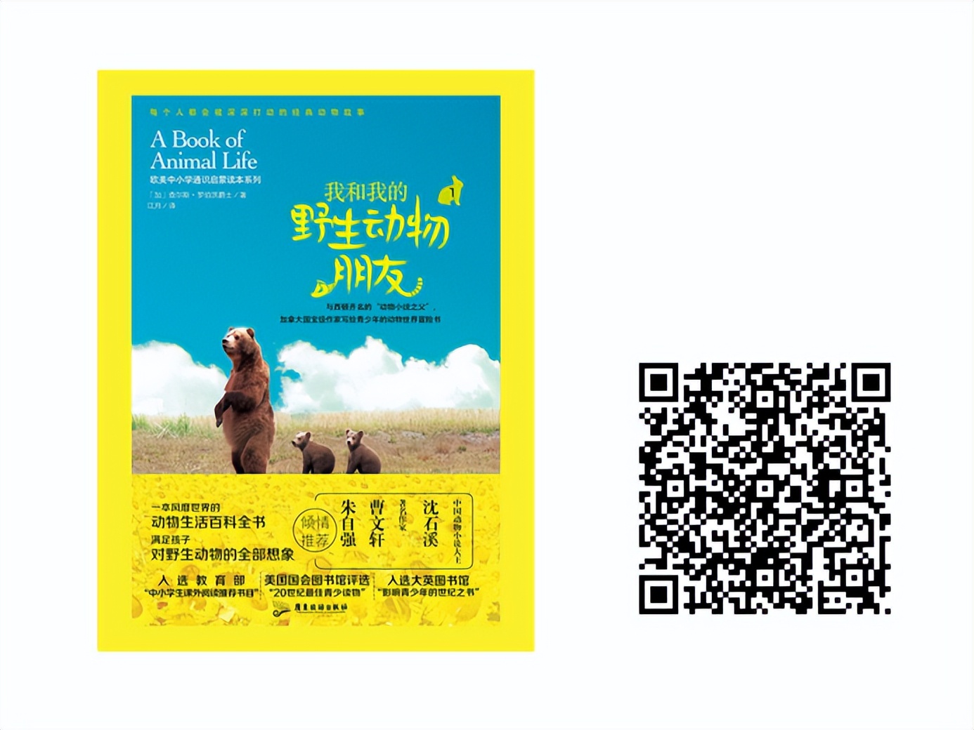 百馆荐书|万物有灵和谐共处——治愈系宠物书单