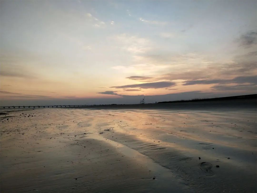 足不出沪旅游,足不出沪食遍江南