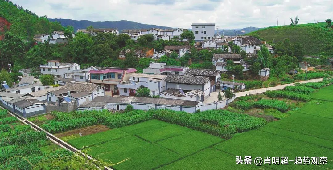 越来越多的人向往田园生活,所有人都向往的田园生活