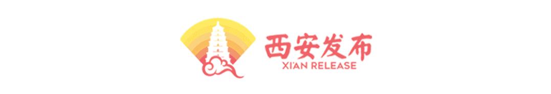 陕西博物馆一日游攻略,陕西自然博物馆五一开放吗