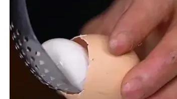 人造鸡蛋的成本要多少钱一个,人造鸡蛋成本只需一毛是真的吗