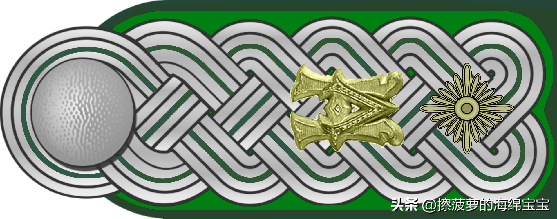 二战德国国防军医疗兵军衔标志