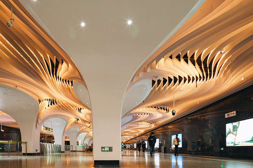 typology涓枃,typology