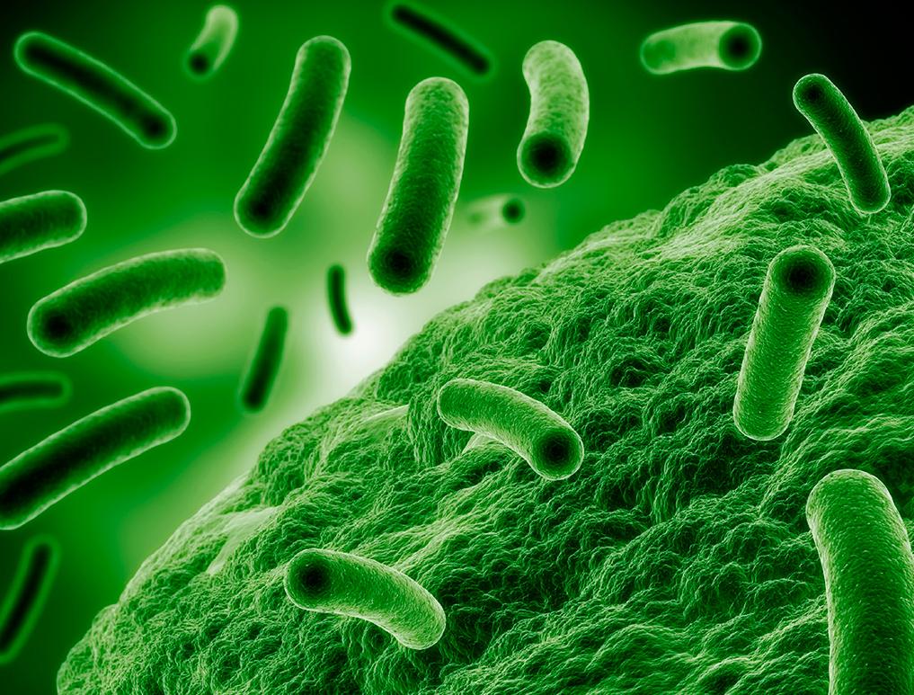 乳头颜色和性经历有关？7个乳头真相，女生都未必知道