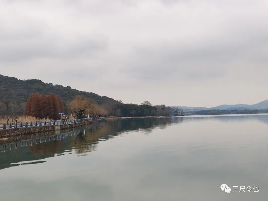 消费者诉讼维权小知识,生活中的四种消费者维权