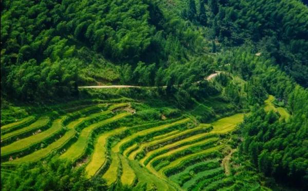 自由诗意：对《五排·晚秋感吟（平水韵/一东）》的注引解释