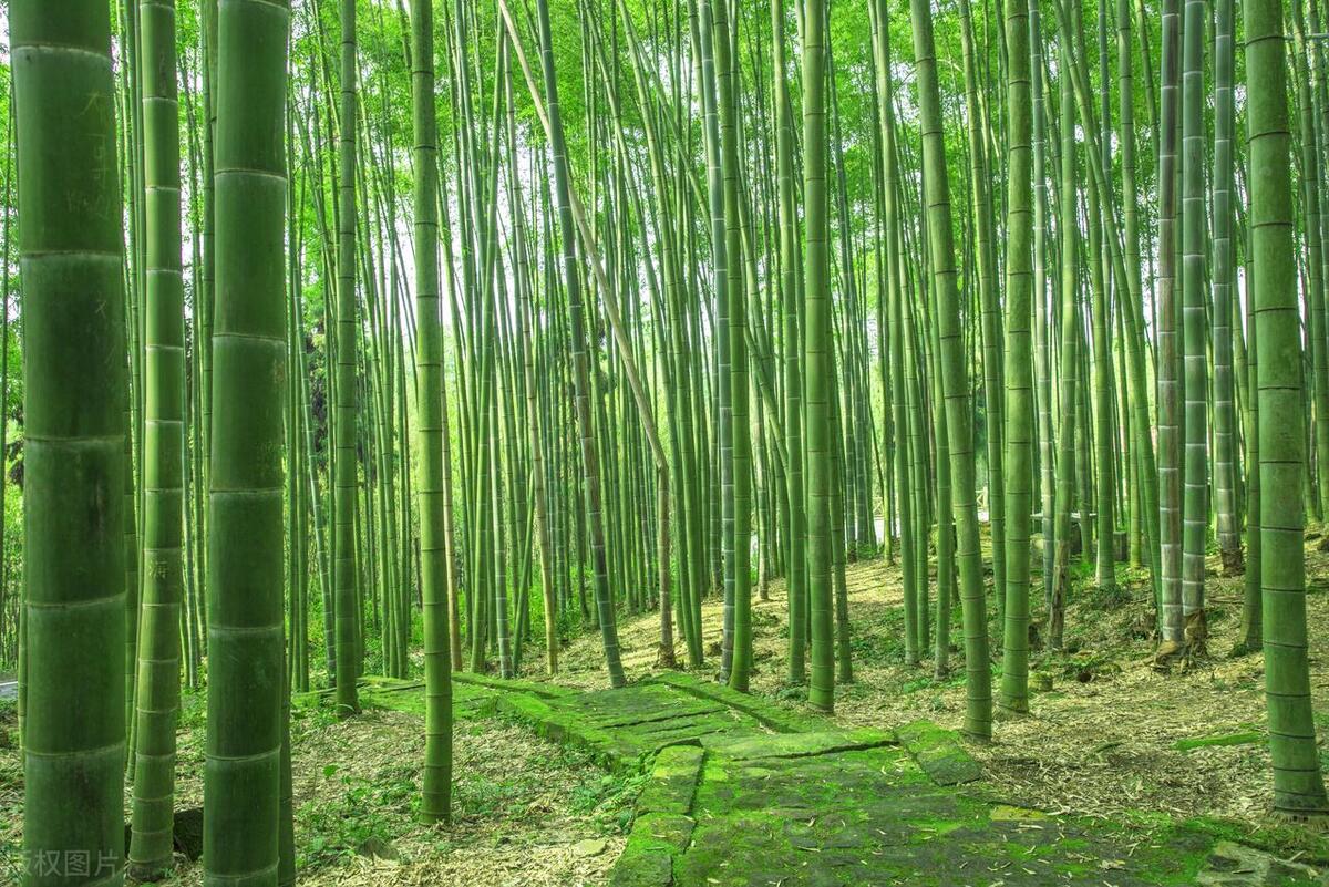 看看这篇文章，“换轴转筒”，提升认知高度