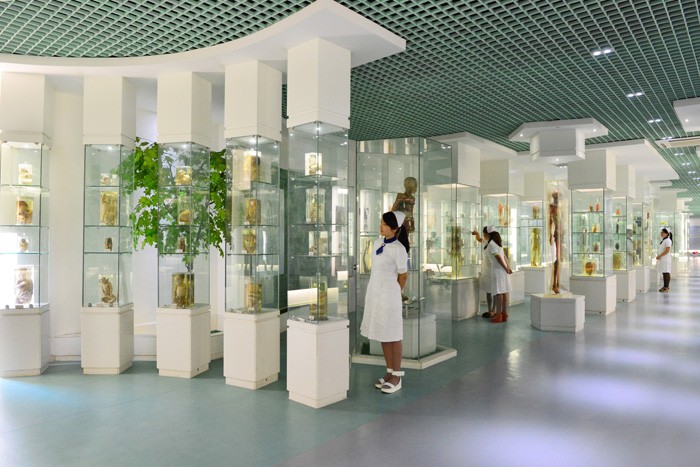 职业高中的普高和职高有什么区别,职业高中哪些职业有前途