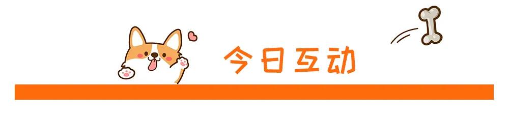 遛狗时遇到不拴绳的狗怎么办,遛狗遛不动怎么办