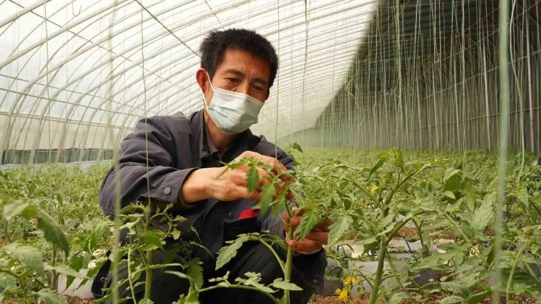 央媒聚焦井陉,平山时事新闻