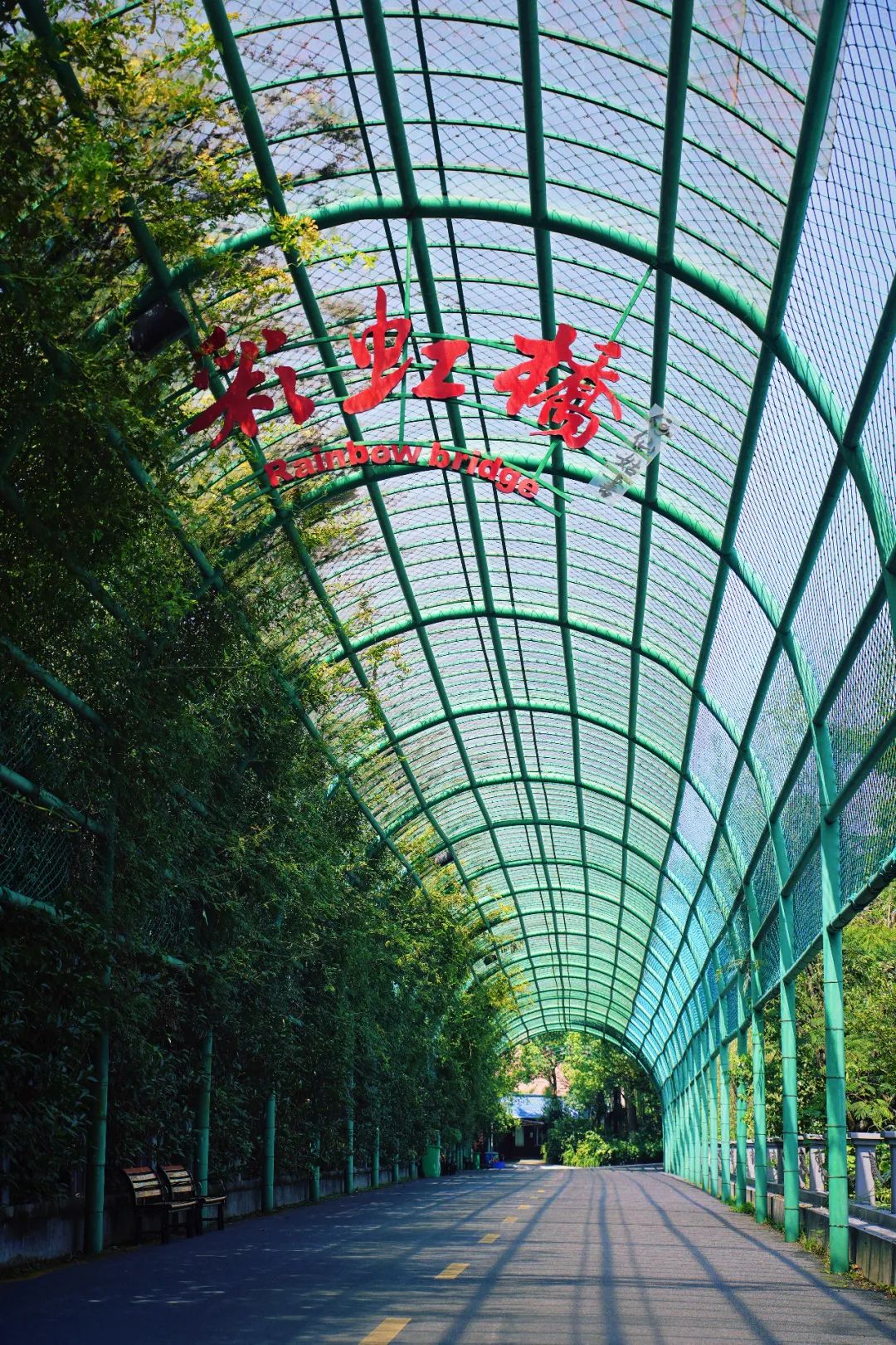 安吉亲子旅游必去的景点,安吉最新亲子旅游度假