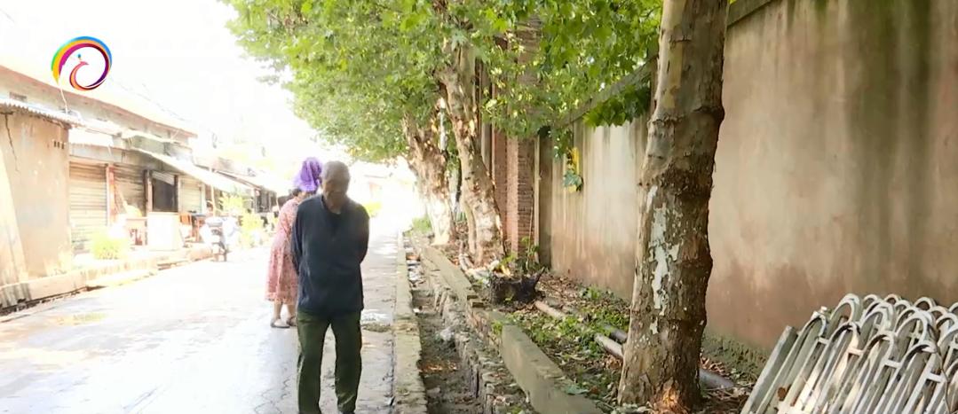鸟被暴雨淋死,强降雨小鸟受伤