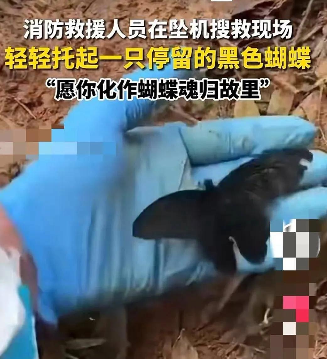 没有来日方长只有事事无常,没有来日方长只有世事无常歌曲