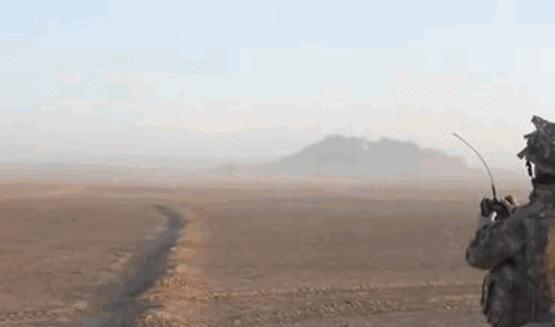 真实大象图片大全可爱,真实野生大象图片