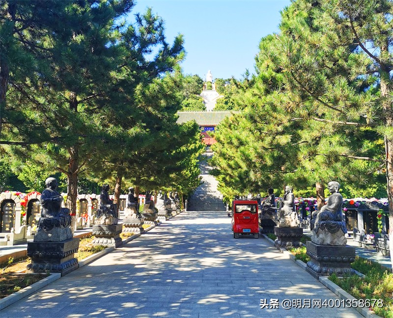 如何选一块好的墓地,教你如何选好的墓地