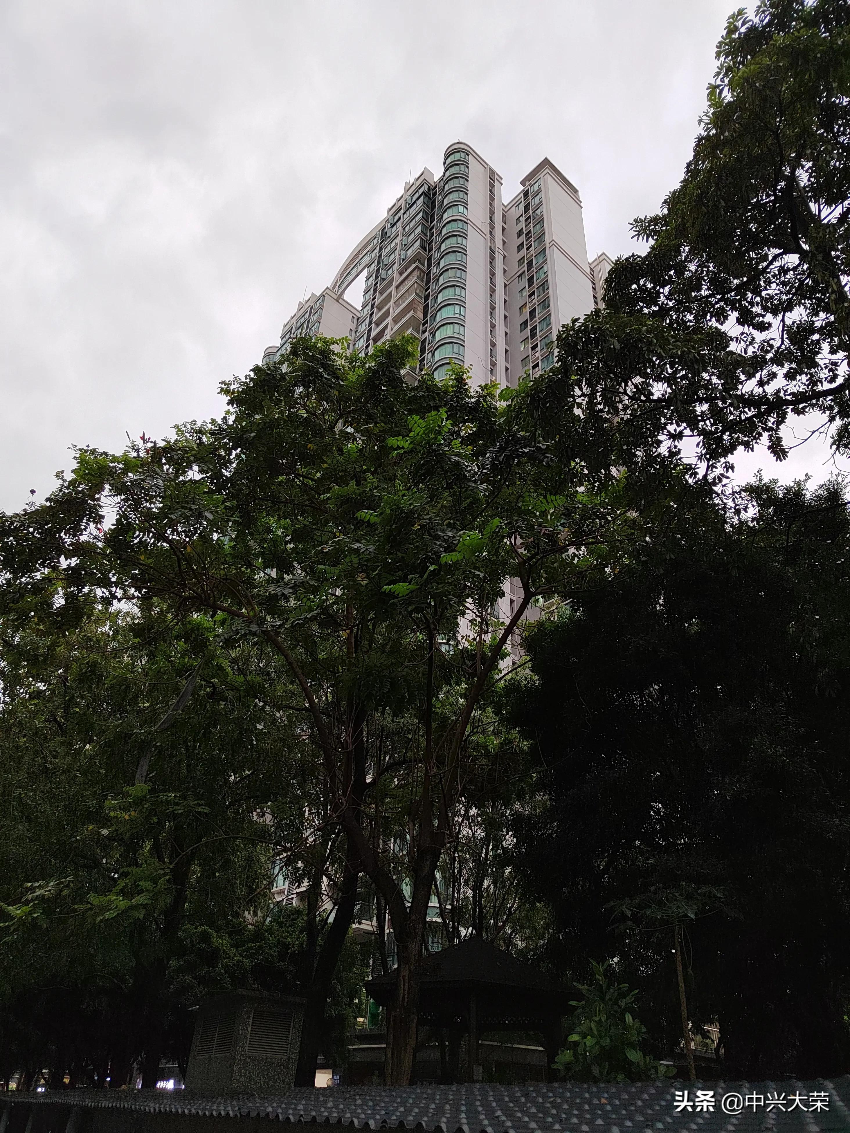 举办一场足球比赛,渴望今年的比赛