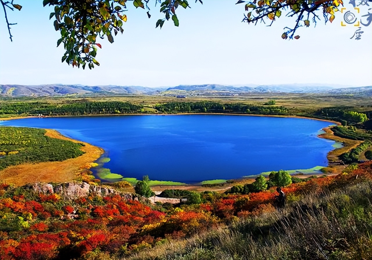 珠三角六一亲子游最佳地方,六一带娃出游攻略