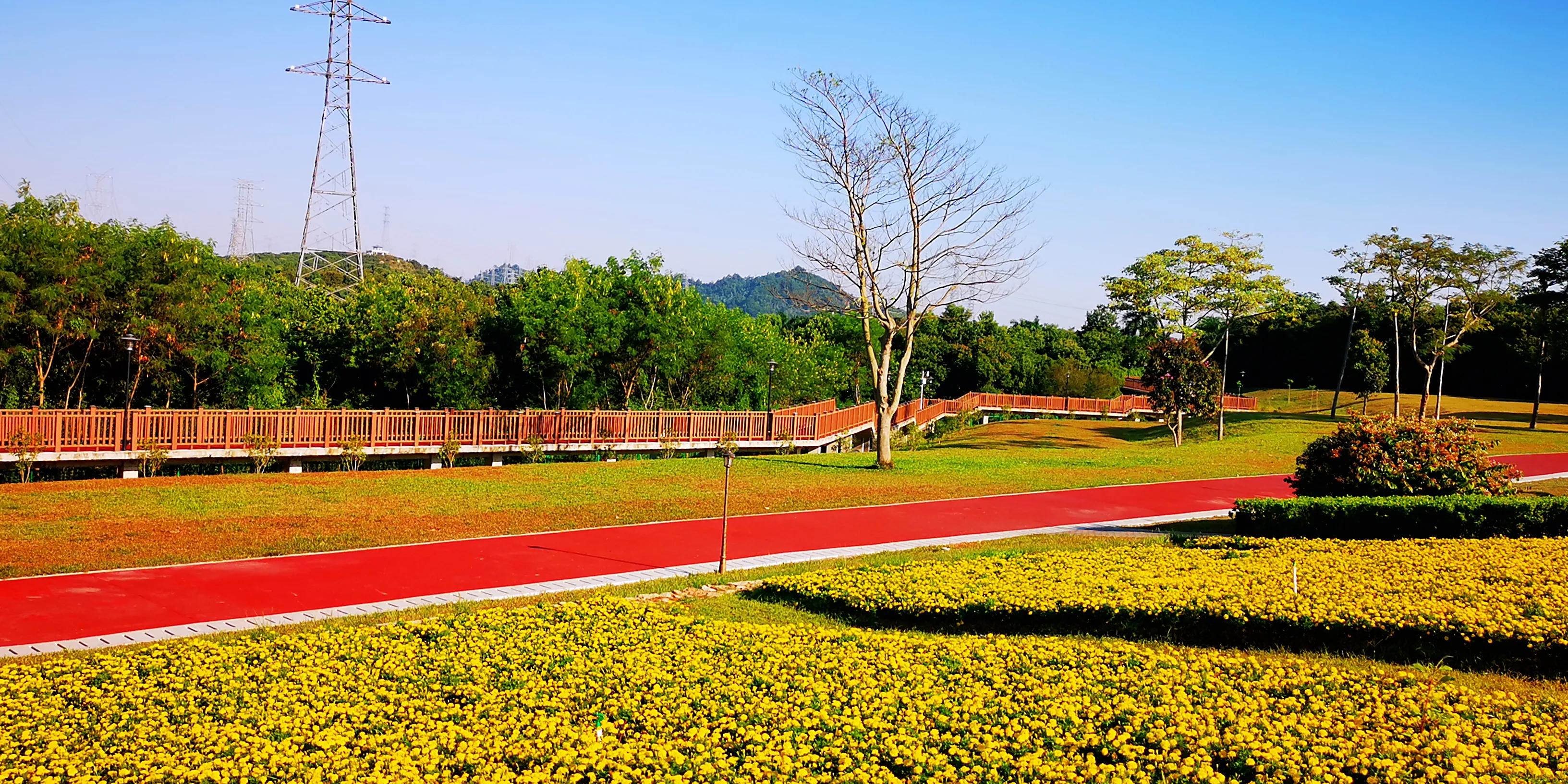 深圳环湖徒步,深圳环形绿道有哪条