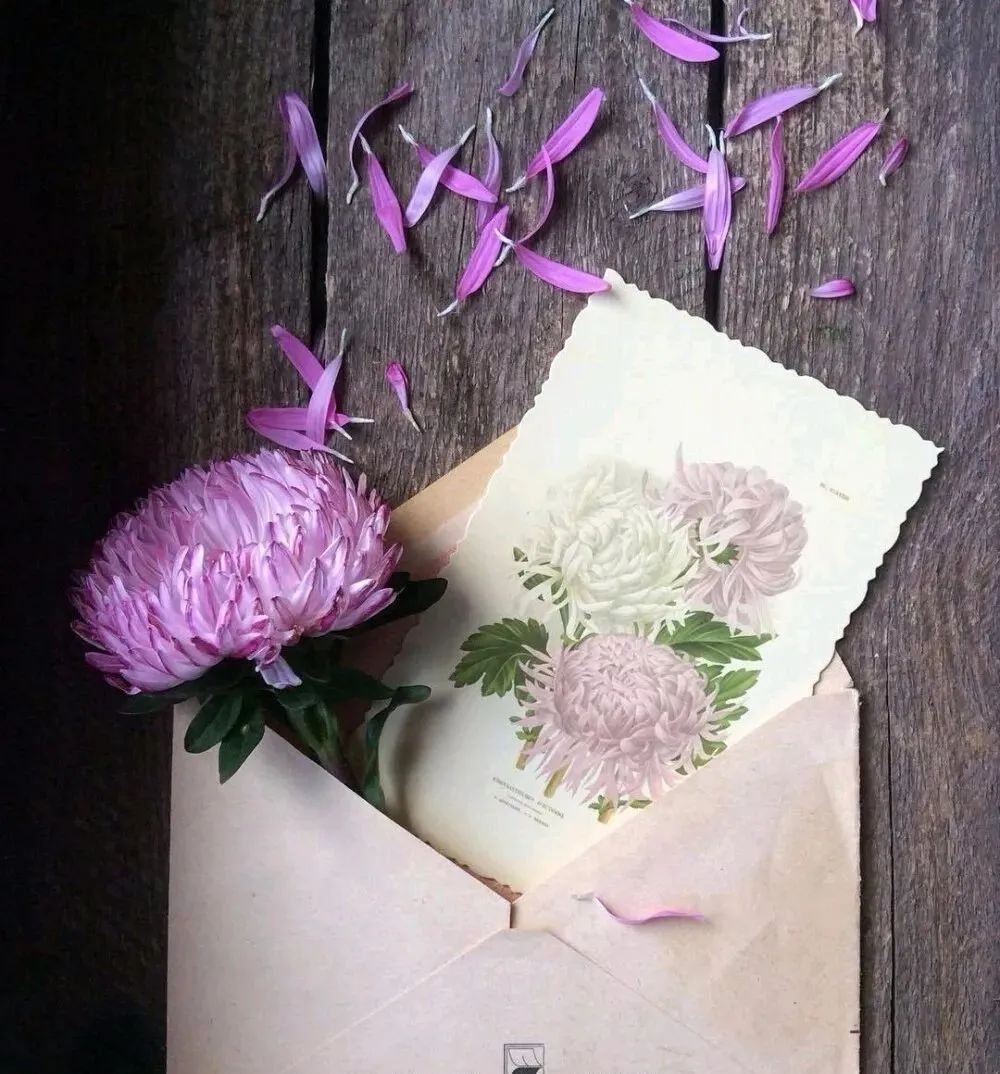 棋逢对手第四部,棋逢对手第五部3