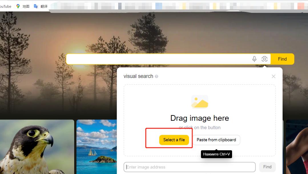 俄罗斯市场开发攻略,俄罗斯市场开发攻略实操版