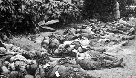 张寡妇的故事,张寡妇怎么成为悍匪的