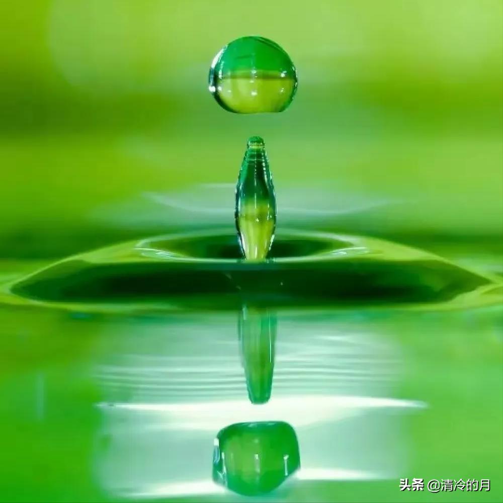 兄弟两个人经典语录,人生感悟兄弟姐妹情