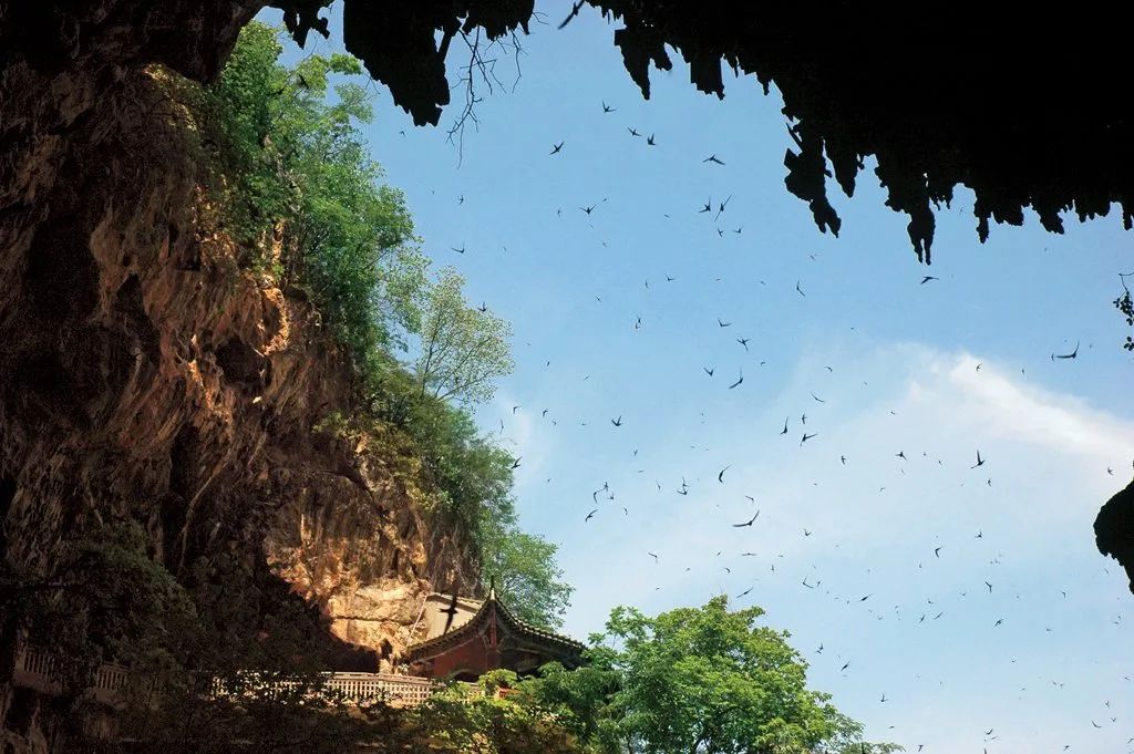 建水燕子洞免门票,建水燕子洞景区团购