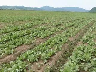 未来农村最赚钱的商机,分享农村十个赚钱行业人人可做