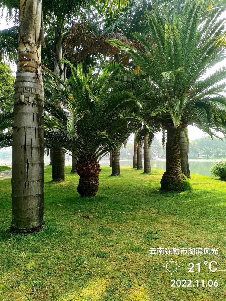 一座半城温泉新兴的福地——美丽的弥勒市作者：姚述清