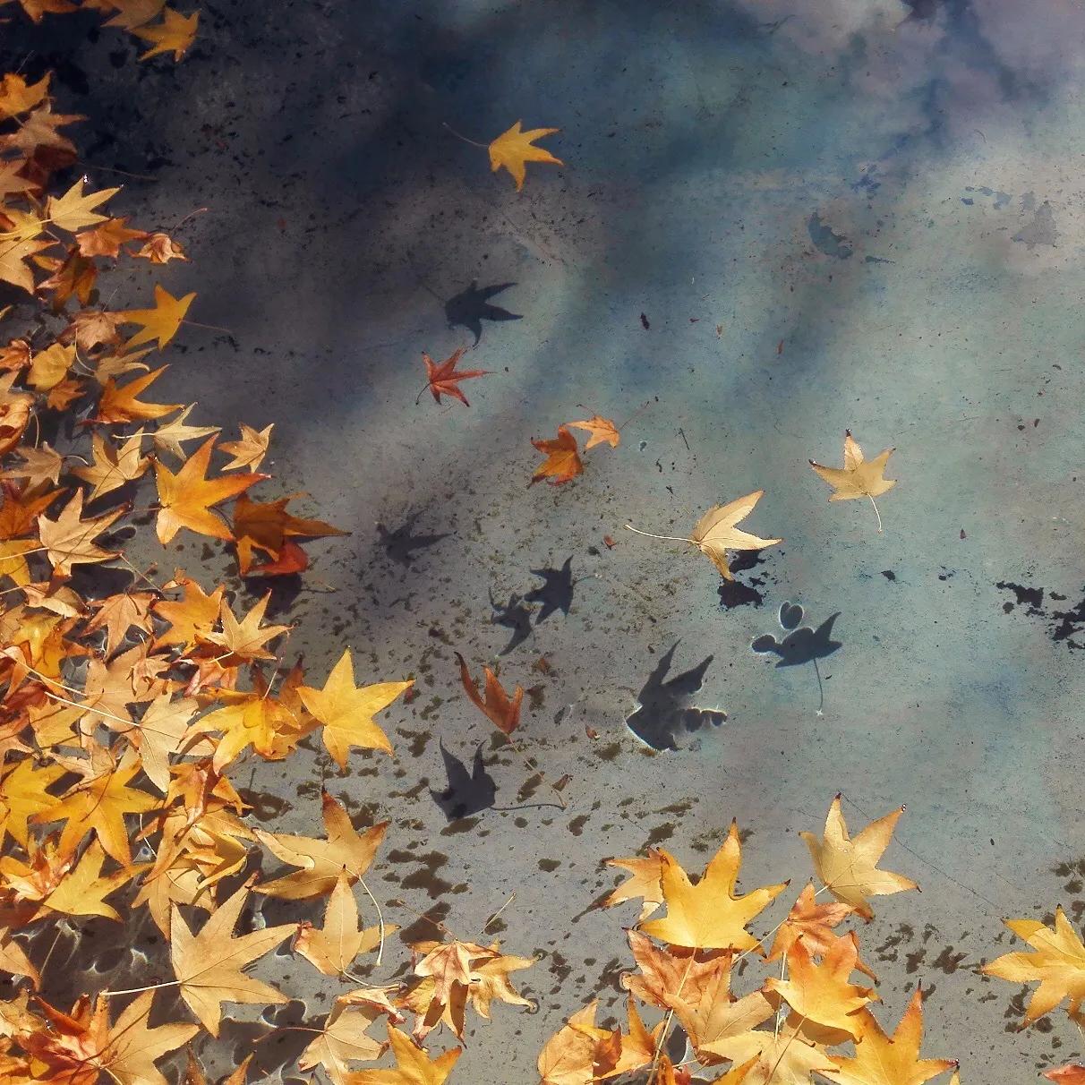 如果对方把你删除了你该怎么办,当对方把你删了你会怎么回