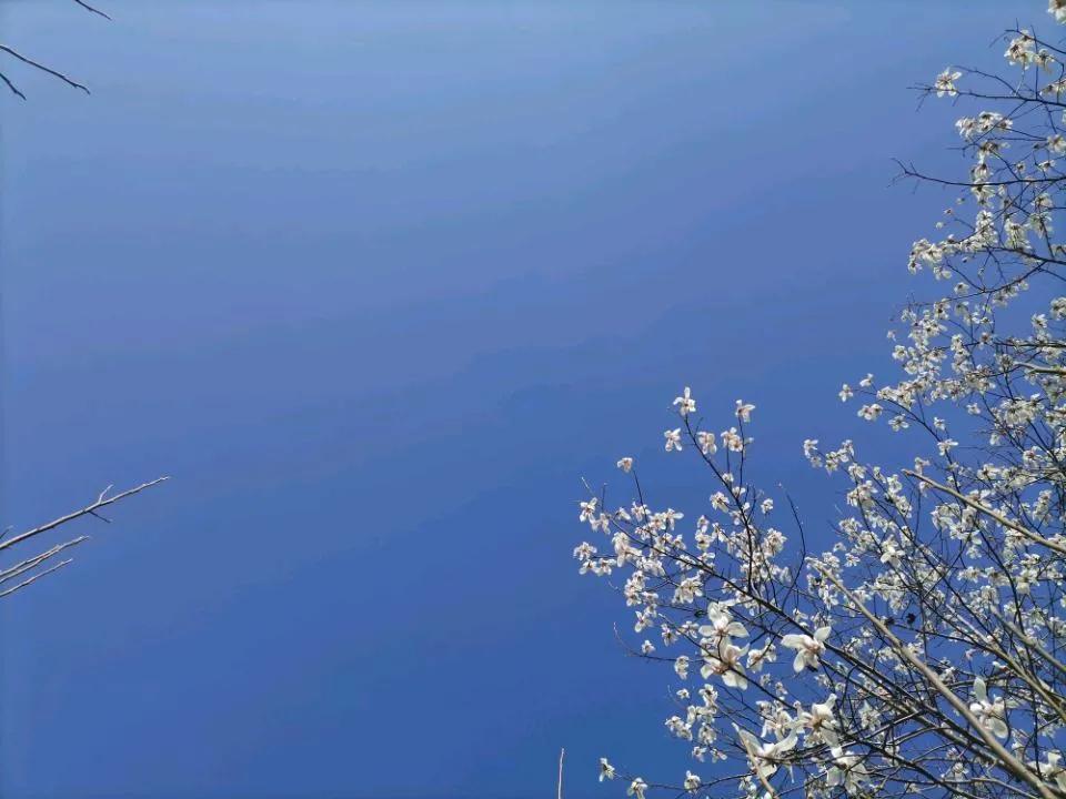 脚掌发热导致呼吸缺氧怎么治疗,缺氧高热