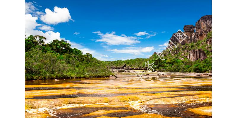 我生病住院了儿子不怎么关心,我妈生病不愿意请护工怎么办