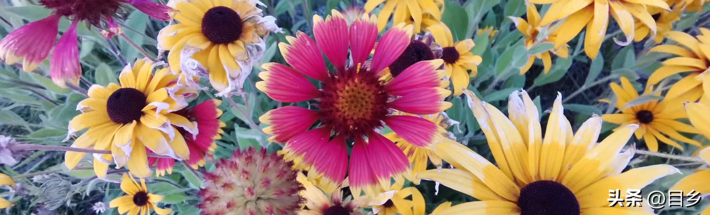 公务员职务职级晋升中遇到的问题,形成公务员职级晋升工作体制